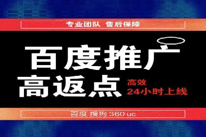 某品牌SEM广告投放的ROI提升案例